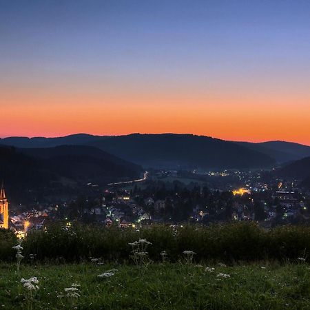 Drei Tannen - Wohnung 04 - Apartmenthaus, Titisee, Nahe Badeparadies Zewnętrze zdjęcie