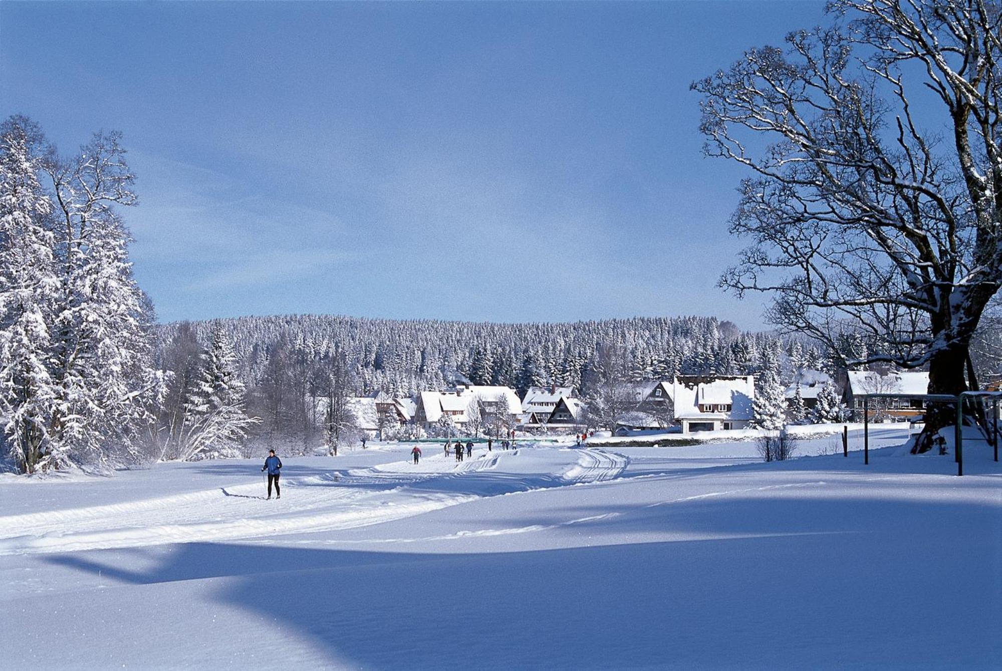Drei Tannen - Wohnung 04 - Apartmenthaus, Titisee, Nahe Badeparadies Zewnętrze zdjęcie