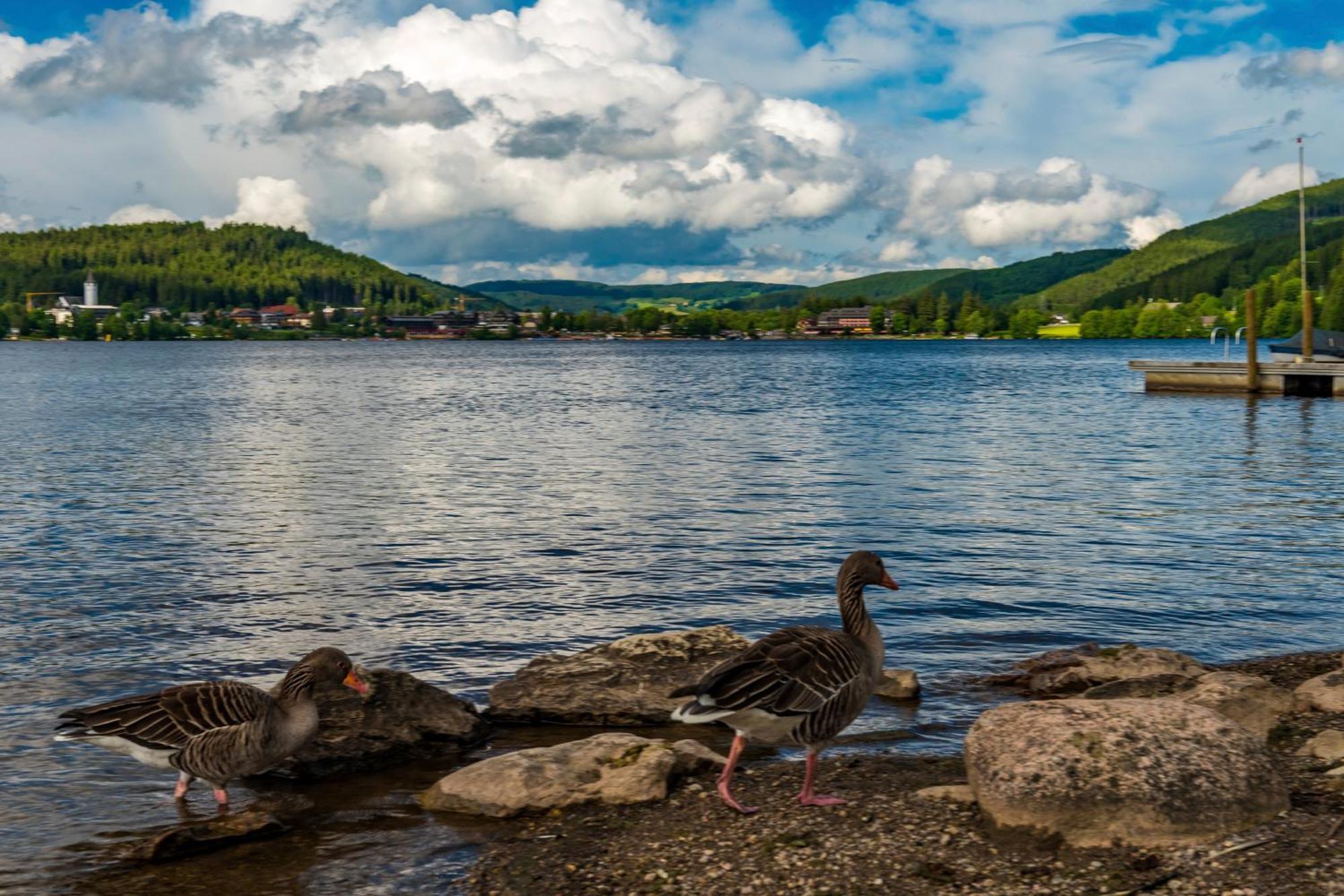Drei Tannen - Wohnung 04 - Apartmenthaus, Titisee, Nahe Badeparadies Zewnętrze zdjęcie