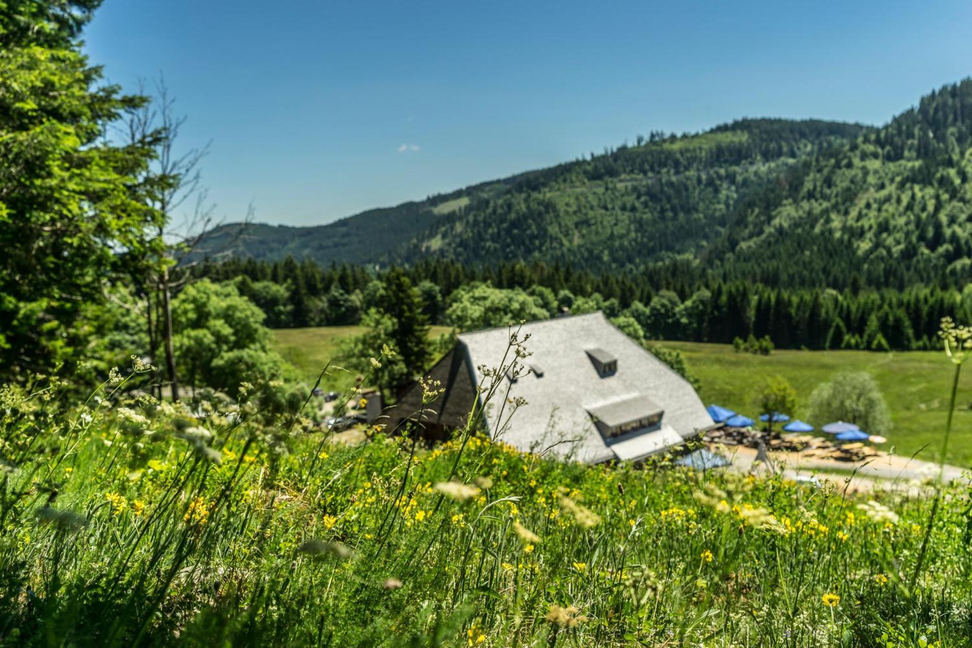 Drei Tannen - Wohnung 04 - Apartmenthaus, Titisee, Nahe Badeparadies Zewnętrze zdjęcie