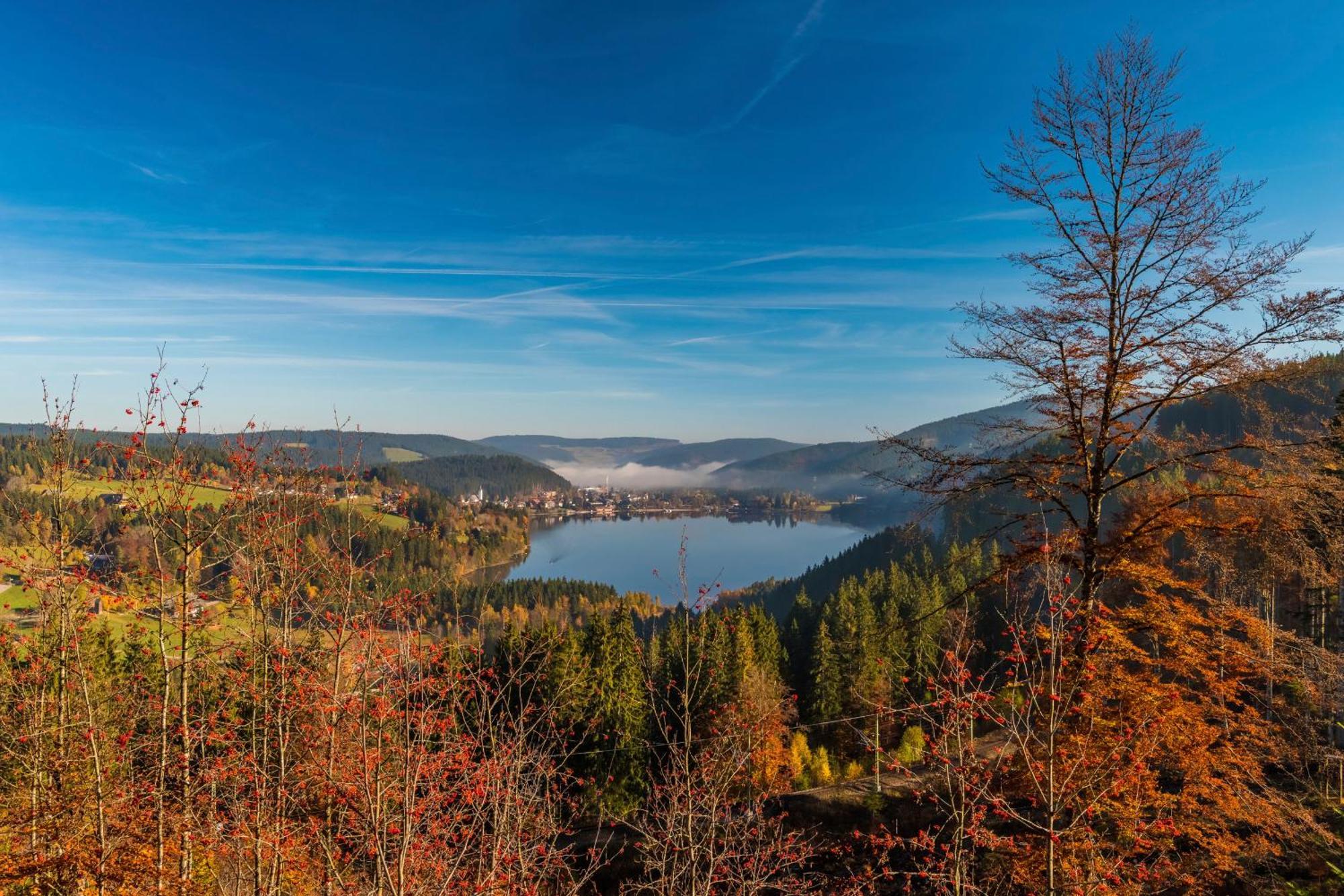 Drei Tannen - Wohnung 04 - Apartmenthaus, Titisee, Nahe Badeparadies Zewnętrze zdjęcie